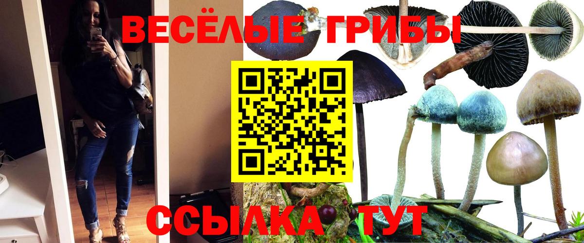 Галлюциногенные грибы GOLDEN TEACHER Острогожск